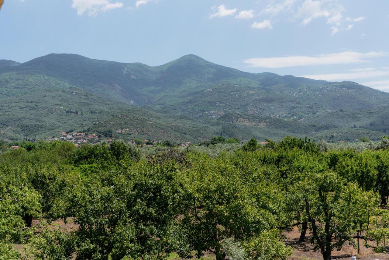 Villa Karavos Grove à Káto Lekhónia Extérieur photo